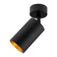 Stropní svítidlo ERIS SPOT. reflektor. halogenová žárovka GU10. černá a zlatá