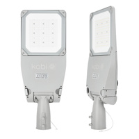 Průmyslová pouliční lampa LED 120W 20400lm 4000K Neutral IP66 IK09 Grey Master Street Kobi