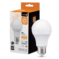 LED žárovka E27 Ball 7W 600lm 6000K Cold 270° Kobi
