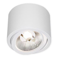 Halogenový reflektorový bodový reflektor GU10 s povrchovou montáží, kulatý, pohyblivý, bílý Masterled