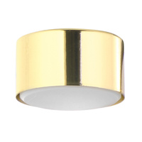 DALLAS GOLD Bodové halogenové stropní svítidlo Gold Round GX53 6096 TK Lighting
