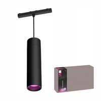 LED Perifo Black 5,2W CCT RGB Philips HUE Bluetooth závěsné stropní světlo