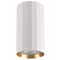 Spot GU10 White Gold NICEA Sanico Goldlux svítidlo pro povrchovou montáž