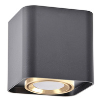 Spot GU10 Black Gold XENO Sanico Goldlux Svítidlo pro povrchovou montáž