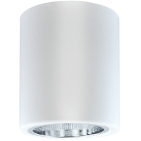 Stropní svítidlo přisazené. bodové z kovové trubky JUPITER 10 GOLDLUX (Polux) DOWNLIGHT E27