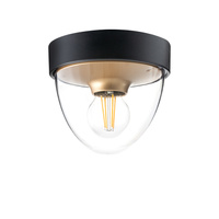Venkovní stropní zahradní lampa NOOK 7976 E27 IP44 Spot Black and Gold Nowodvorski