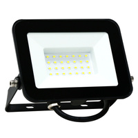 Reflektor LED 30W 2400lm 6500K 120° IP65 Black GOLDLUX (Polux)