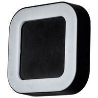 Venkovní nástěnné svítidlo LED 12W 4000K IP54 LUPUS