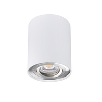 Stropní svítidlo Reflector LED Spot Tuba Halogen GU10 Adjustable Round White Silver Bord Kanlux