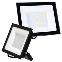 Venkovní LED reflektor Zahrada 100W 8700lm 6500K Cold 120° IP65 IK05 Black Mh Kobi