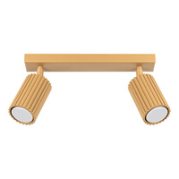 Bodové reflektorové stropní svítidlo Tuba 2x GU10 Gold Carbon Deep Space SL.1561 Sollux