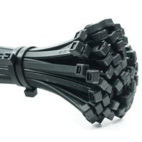 100x Kabelová Svorková Páska, Silná 2.5x100mm Černá LUMILED