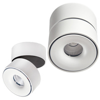 Stropní svítidlo Reflektor nastavitelný LED 9W 550lm 3000K Teplá stmívatelná CRI90 Bílá Lahti Kobi