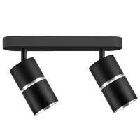 Nástěnné a stropní bodové svítidlo 2x GU10 BlackSilver BAMBOO Sanico Goldlux