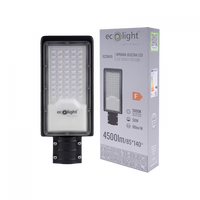 LED pouliční osvětlení 50W 4500lm 5000K studené IP65 ECONOMY Ecolight