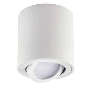 Povrchová montáž HALOGEN SPOT TUBA Reflektor Kulaté svítidlo Moving White Kobi