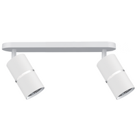 Nástěnné a stropní bodové svítidlo 2x GU10 White Silver BAMBOO Sanico Goldlux