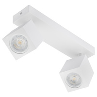 Stropní reflektorové nástěnné svítidlo 2xGU10 QUANTUS White