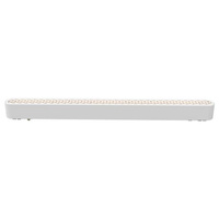 LED světlo pro magnetické přípojnice Plug-in 16W 800lm 4000K Neutral CRI90 60° 48V White Luxo Masterled