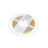 LED pásek 5W 500lm 6500K Cold 1600LED 12V 5m CRI90 Tramo Premium Kobi