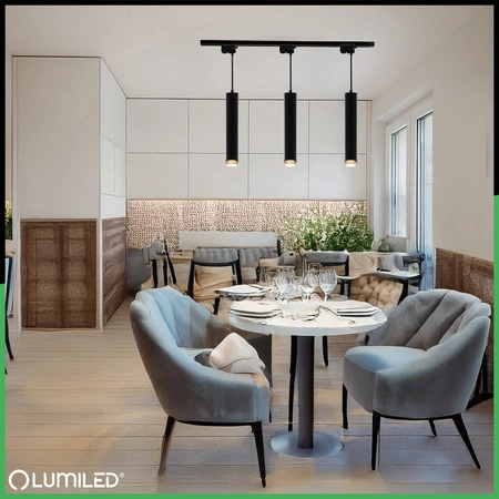 Stropní závěsné svítidlo 29cm Reflektor GU10 LED ELIGIS Black LUMILED