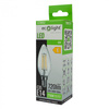 LED žárovka svíčka B35 E14 6W 720lm 2700K teplá bílá FILAMENT Ecolight