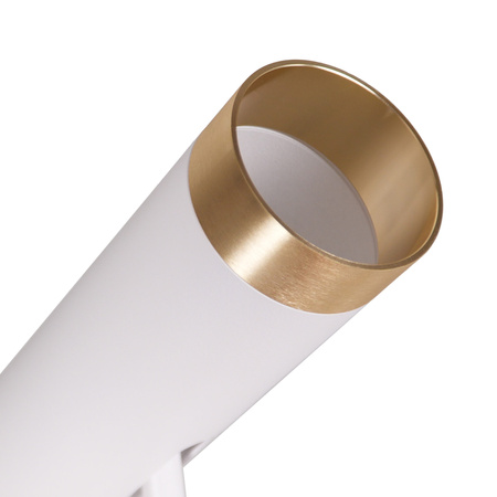 Nástěnné a stropní svítidlo Bodové světlo GU10 White Gold FADO Sanico Goldlux