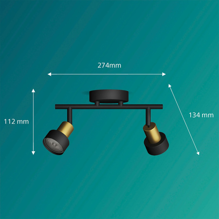 Reflektorové stropní svítidlo 2x GU10 černá-měděný vodič Philips