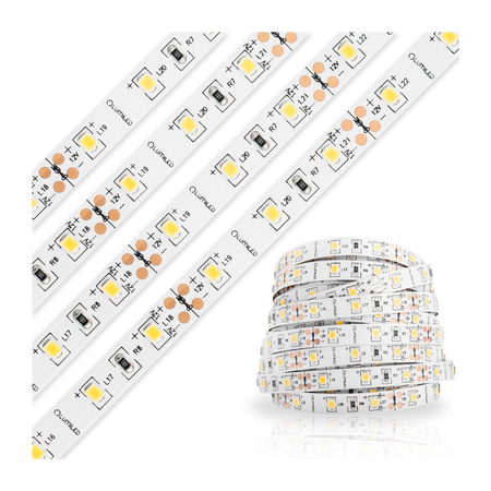 LED pásek 12V 24W 300LED 2835 za studena IP65 8mm 5m