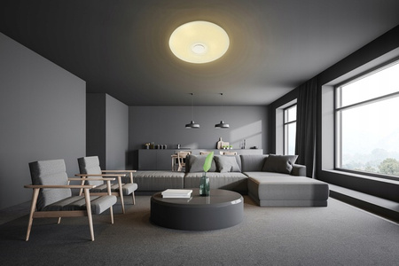 LED PLAIN 50cm kulatá stropní lampa RGBW 3000K-6500K + dálkové ovládání BLUETOOTH SPEAKER