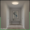 Plafond LED světlo pro povrchovou montáž SALUS2 72W IP44 CCT White Round 50cm + LUMILED PILOT