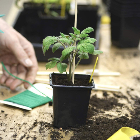 Sada 24x rašelinových květináčů 8x8 cm pro výsev sazenic Biologicky odbouratelné kulaté květináče