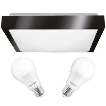 Plafond LED stropní svítidlo 30cm 2xE27 černý čtverec + 2x LED žárovka 10W 6000K