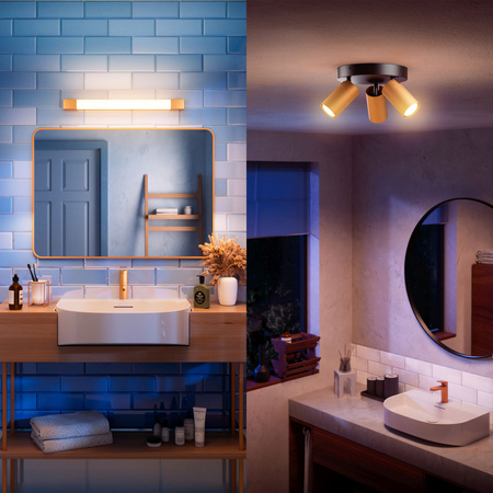 LED Světlo nad Zrcadlo 5W 730lm 2700K 44cm IP44 Měděná Rover Philips