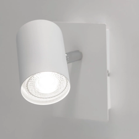 Nástěnné svítidlo Stropní svítidlo Nastavitelné LED GU10 Round Black Evalo Kanlux