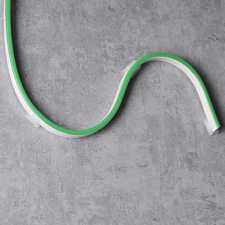 NEON Strip Flexibilní LED pásek 24V 30W Zelený IP65 12mm 5m