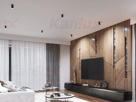 Stropní svítidlo Spot Tuba LED Halogen GU10 Adjustable Round Black Chiro Kanlux