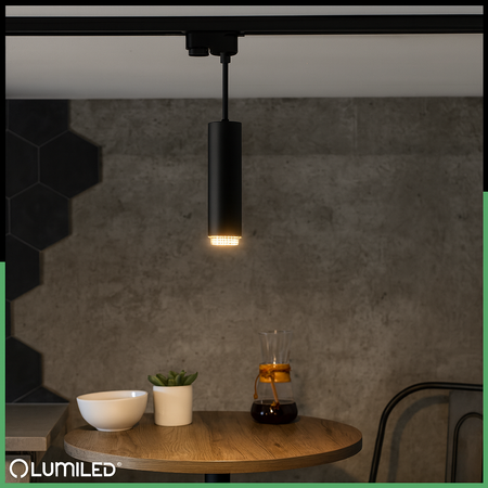 Stropní závěsné svítidlo 29cm Reflektor GU10 LED ELIGIS Black LUMILED