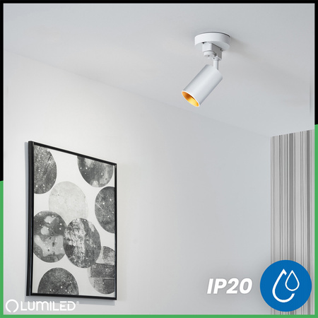 LUMILED HUMA RAIL SET WHITE + SAGI RAIL SPOTLIGHT WHITE-GOLD