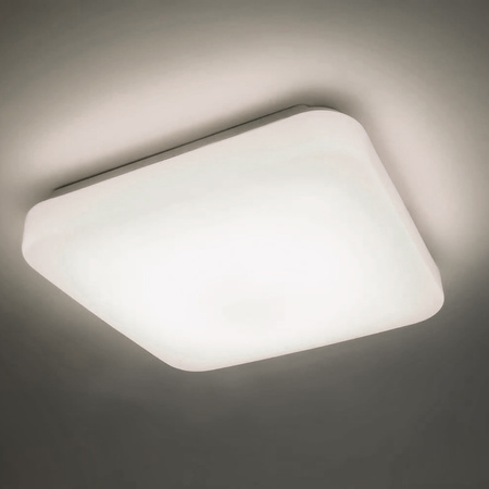Plafond LED stropní svítidlo MAUVE 12W 4000K 26cm Square PHILIPS s povrchovou montáží