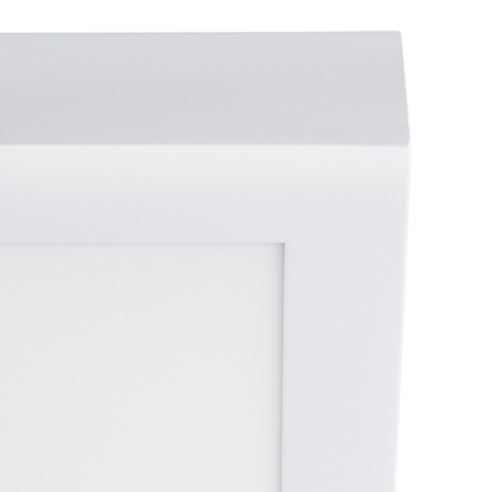 LED panel 60x30 Povrchová montáž 24W 1900lm 4000K neutrální bílá Ecolight