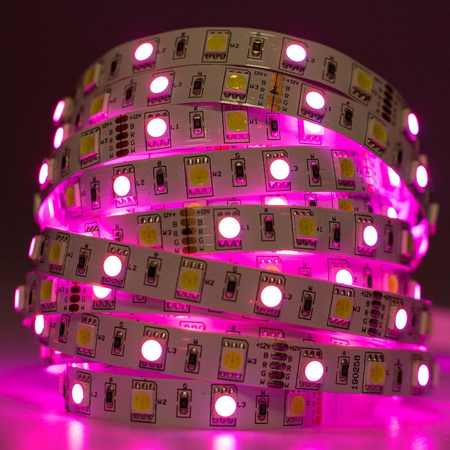 LED pásek 12V, 72W 300LED 5050 RGB + Studená bílá 10mm 5m LUMILED