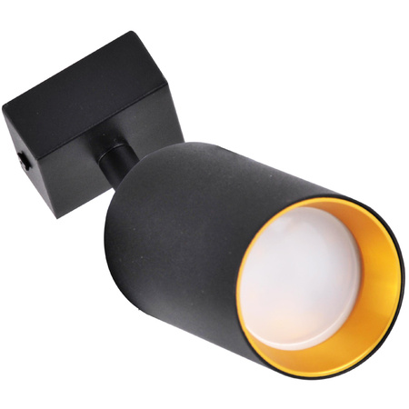 Nástěnné svítidlo Reflektorové nástěnné a stropní LED svítidlo 1 x GU10 MARIBEL Black GOLDLUX (Polux)