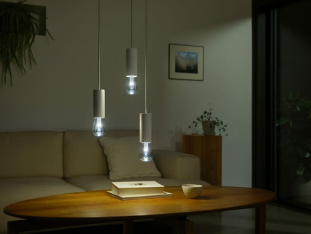 LED žárovka E27 Edison ST72 6,8W = 60W 500lm 2000-6500K CCT + RGB FILAMENT SMART Smart Bluetooth ZigBee White and Color Ambiance Philips HUE