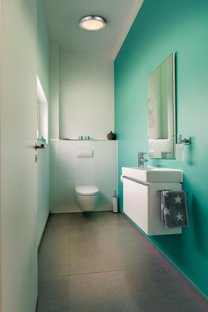 Plafond Koupelnové stropní svítidlo E27 Chrome IP44 31cm Koupelnové stropní svítidlo Ledvance