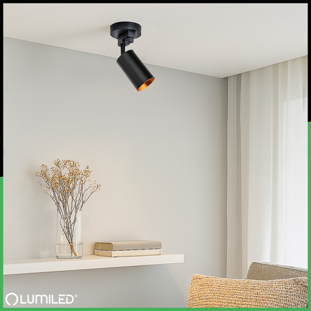 LUMILED HUMA RAIL KIT BLACK + SAGI RAIL SPOTLIGHT BLACK AND GOLD