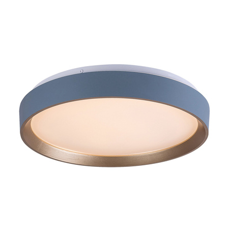 Plafond LED stropní svítidlo Povrchová montáž 24W 3000K Grey Modern Liatris2 Rabalux