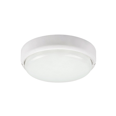 Venkovní LED zahradní stropní svítidlo HORT 15W 4000K IP54 kruhové stropní svítidlo bílé RABALUX