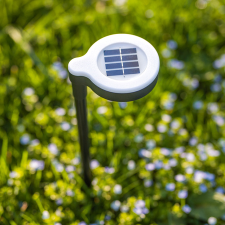 LATI Solar Outdoor LED Driven Light Warm Black 38,5 cm