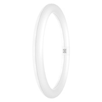 Ledvance kruhová LED zářivka G10q T9 18,3W 2000lm 3000K Warm 110° Ledvance